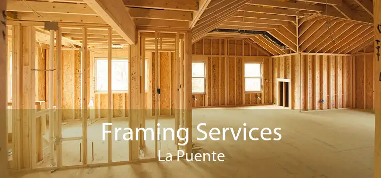 Framing Services La Puente